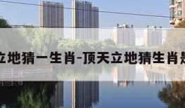 顶天立地猜一生肖-顶天立地猜生肖是什么