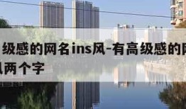 有高级感的网名ins风-有高级感的网名ins风两个字