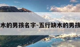 五行缺木的男孩名字-五行缺木的男孩名字库
