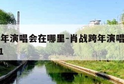 肖战跨年演唱会在哪里-肖战跨年演唱会在哪里2021