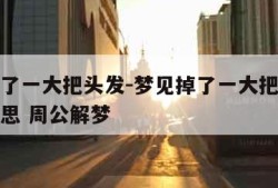 梦见掉了一大把头发-梦见掉了一大把头发是什么意思 周公解梦