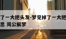 梦见掉了一大把头发-梦见掉了一大把头发是什么意思 周公解梦