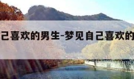 梦见自己喜欢的男生-梦见自己喜欢的男生不理自己