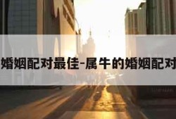 属牛的婚姻配对最佳-属牛的婚姻配对最佳男