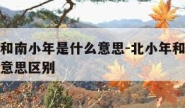 北小年和南小年是什么意思-北小年和南小年是什么意思区别