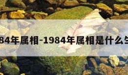 1984年属相-1984年属相是什么生肖
