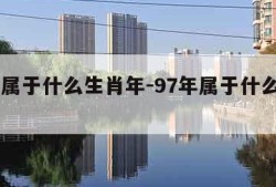 97年属于什么生肖年-97年属于什么生肖年份