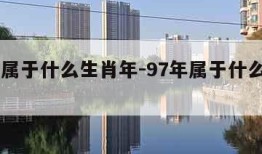 97年属于什么生肖年-97年属于什么生肖年份