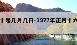 年三十是几月几日-1977年正月十六是几号