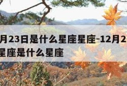 12月23日是什么星座星座-12月23日的星座是什么星座