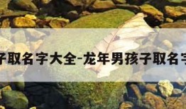 男孩子取名字大全-龙年男孩子取名字大全