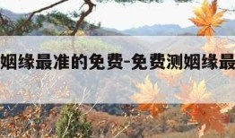 免费测姻缘最准的免费-免费测姻缘最准的免费软件