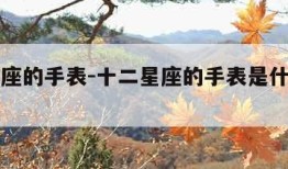 十二星座的手表-十二星座的手表是什么样子的