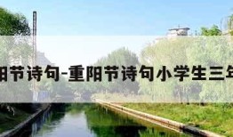 重阳节诗句-重阳节诗句小学生三年级