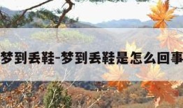 梦到丢鞋-梦到丢鞋是怎么回事