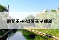 钢琴王子-钢琴王子郎郎
