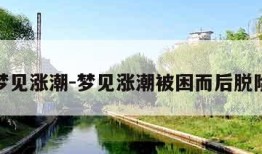 梦见涨潮-梦见涨潮被困而后脱险