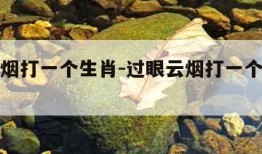 过眼云烟打一个生肖-过眼云烟打一个生肖动物
