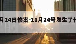 11月24日惨案-11月24号发生了什么事
