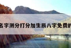 包含名字测分打分加生辰八字免费的词条